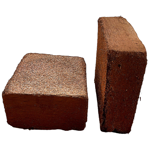 coco_brick-1