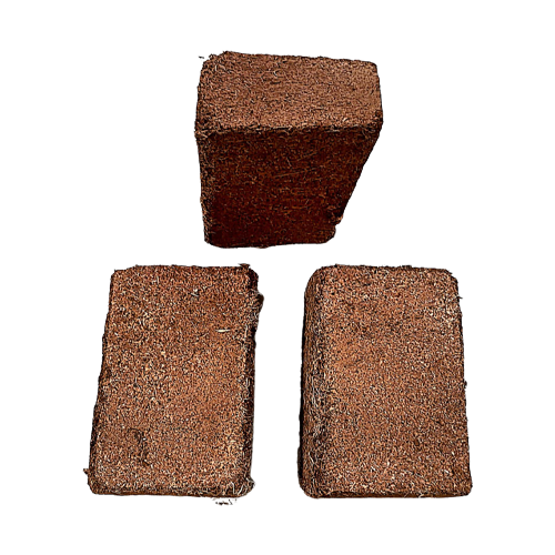 coco_brick-3